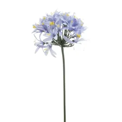 Emerald Agapanthus spray blauw 80cm