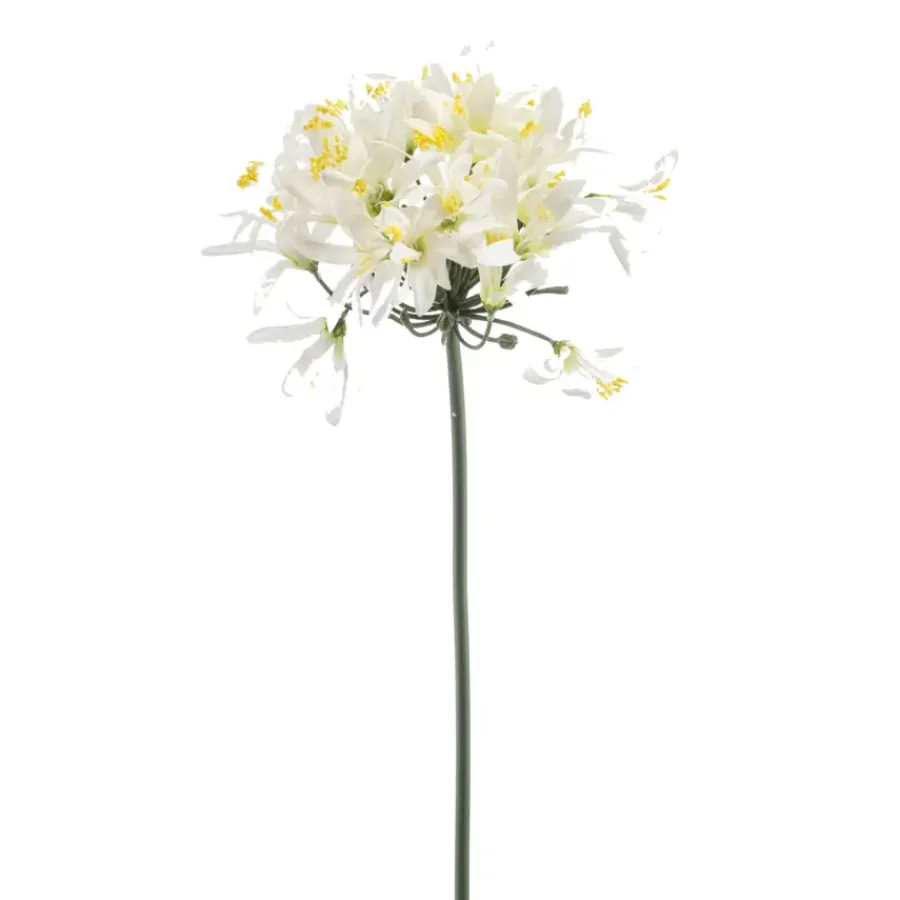 Emerald Agapanthus spray wit 80cm