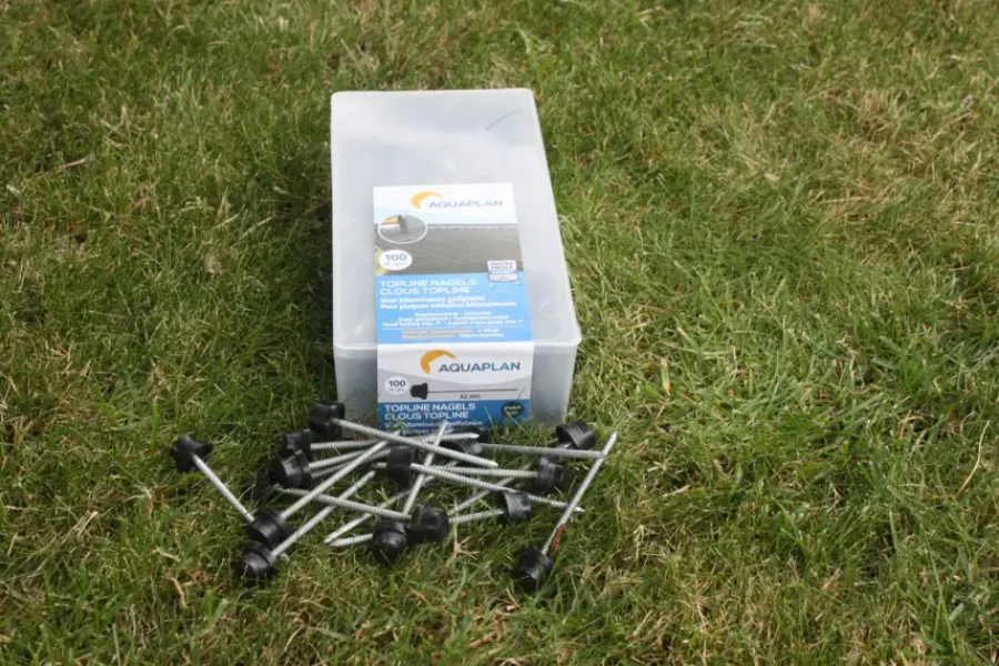 Aquaplan Aqualine nagels verzinkt zwart 100 stuks