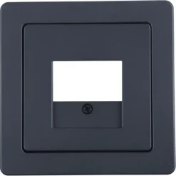 Berker Q1 Afdekplaat USB Antraciet