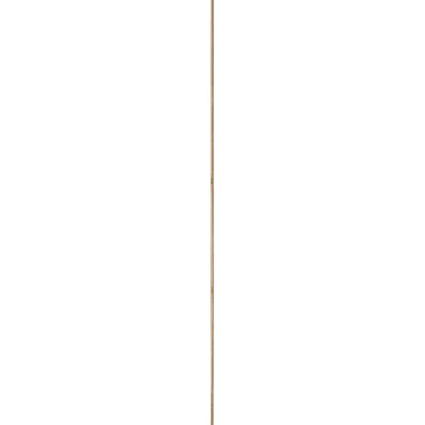 Betonplex plaat 250 x 125 cm 18 mm