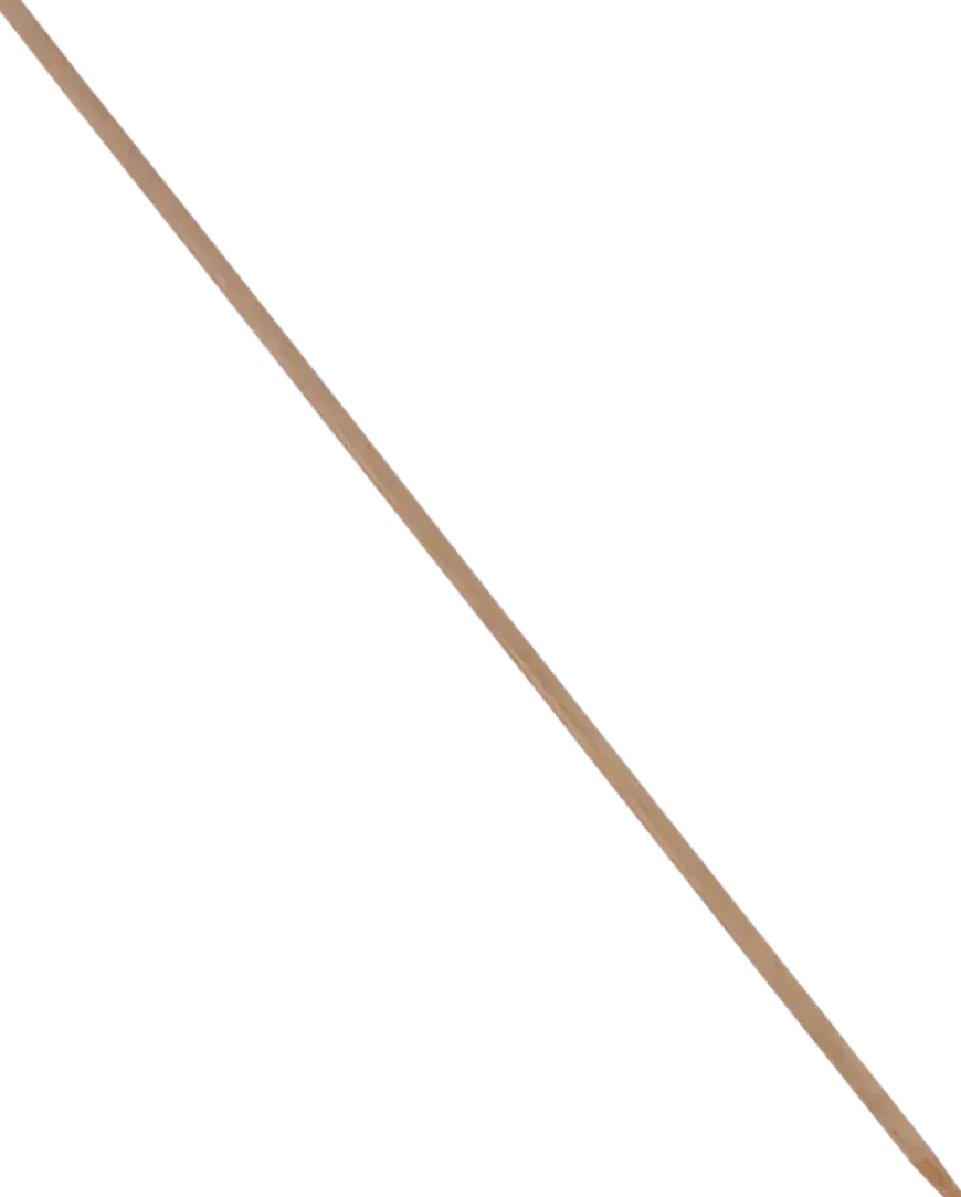 Bezemsteel hout 120 cm