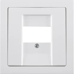 Busch-Jaeger Future Linear Afdekplaat USB Wit