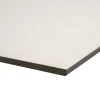Compactplaat HPL wit 122 x 61 cm 6 mm weerbestendig