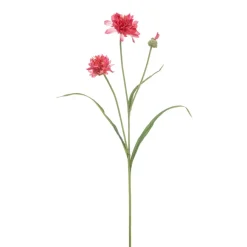 Emerald Cornflower spray roze 75cm