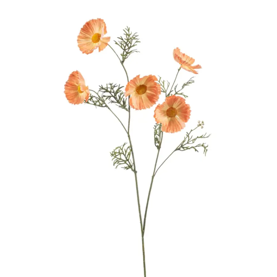 Emerald Cosmos spray geel 70cm