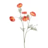 Emerald Cosmos spray oranje 70cm