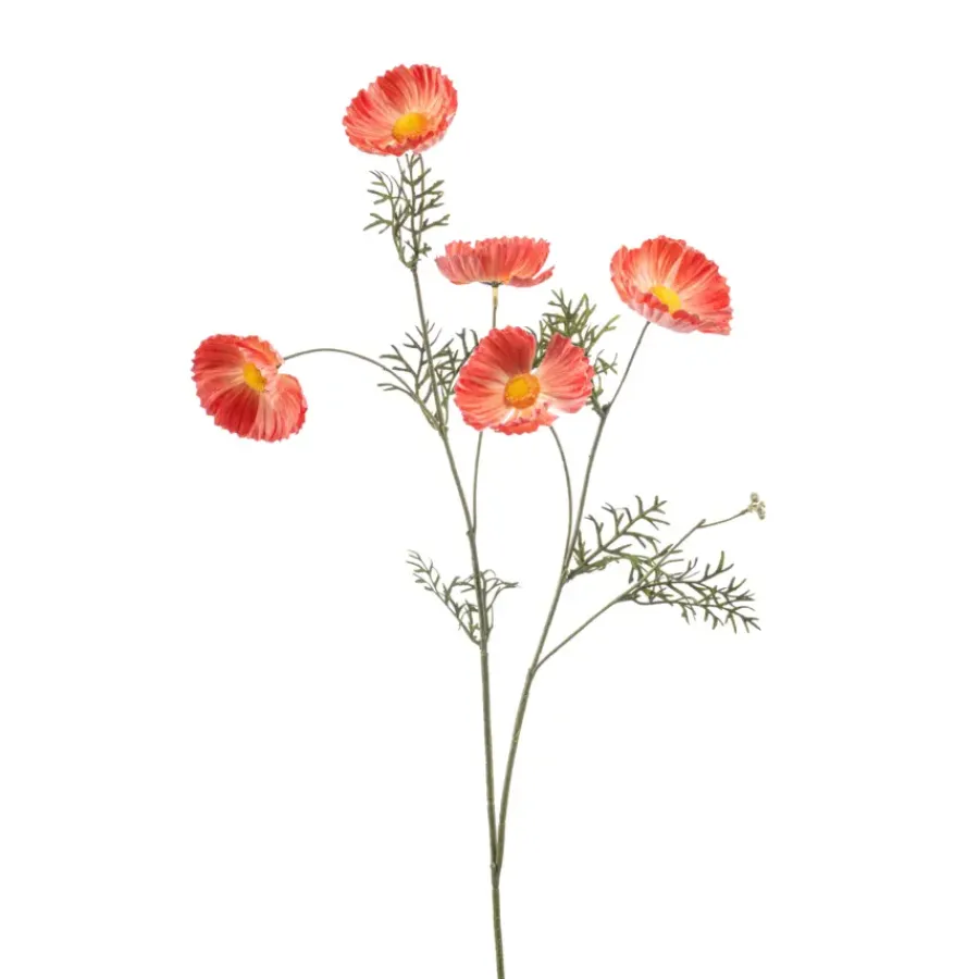 Emerald Cosmos spray oranje 70cm