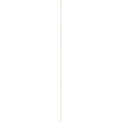 Decorlijst grenen 6x22 mm lengte 270 cm