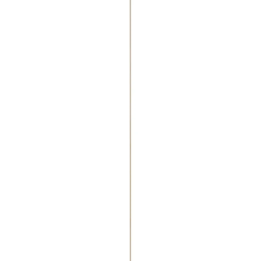 Decorlijst grenen 15x31 mm lengte 270 cm