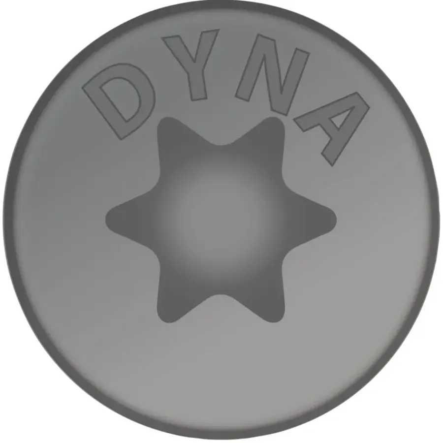 DYNAPLUS Schroef universeel platkop AR-coating TX25 5.0x60 150 stuks
