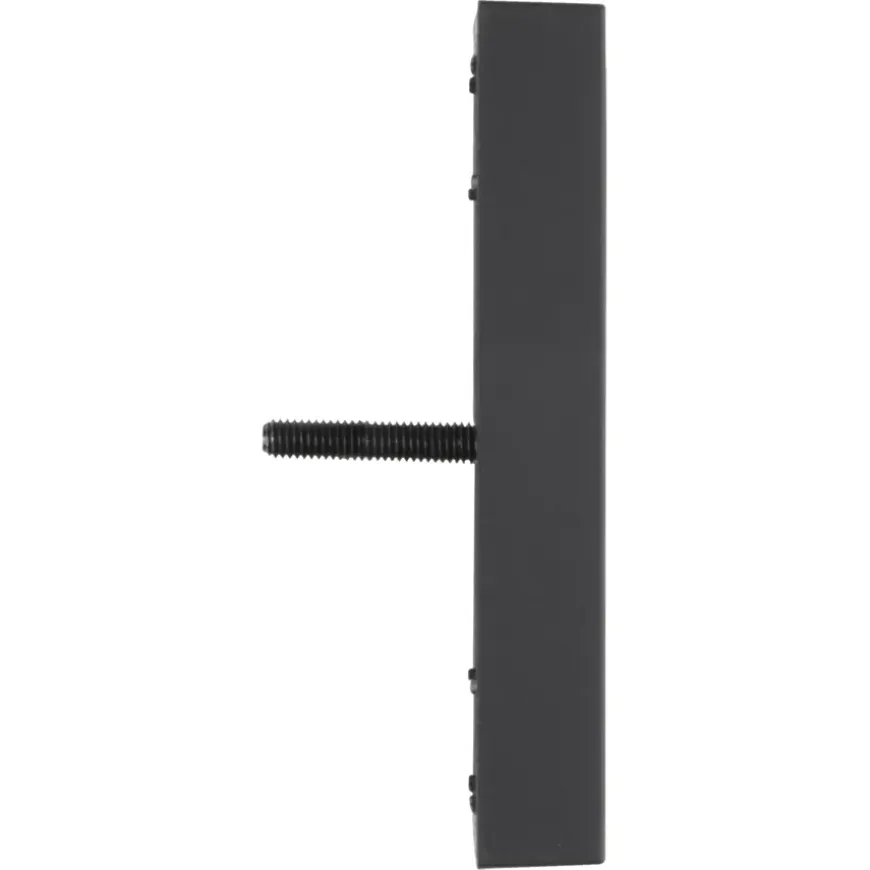 Gira E2 Centraalplaat Radio/TV Mat Zwart