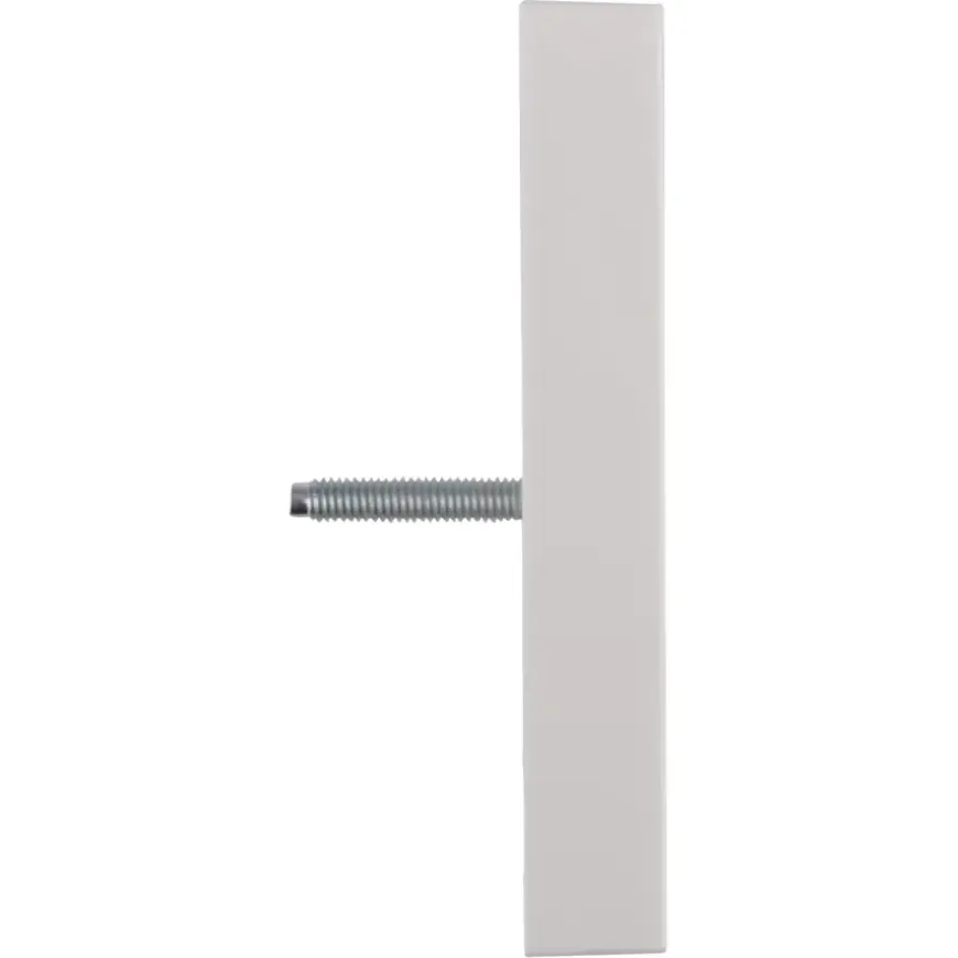 Gira ST55 Centraalplaat Radio/TV Wit