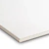 Gyproc gipsplaat 60x300 cm dikte 0,95 cm