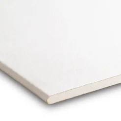 Gyproc gipsplaat 60x300 cm dikte 0,95 cm