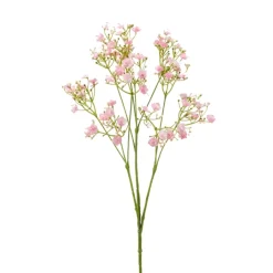 Emerald Gypsophila spray roze 68cm