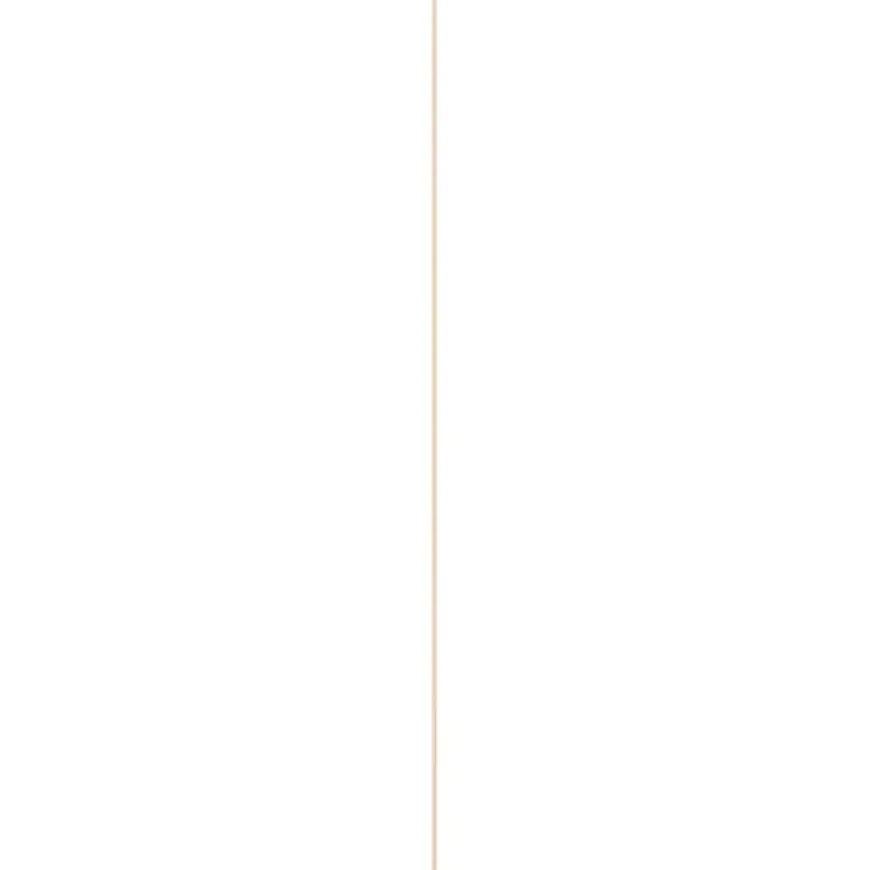 Hollat grenen 22x22 mm lengte 270 cm