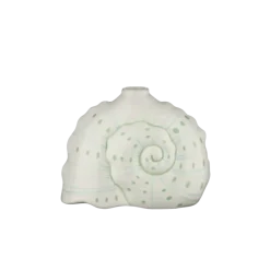 Geen Kandelaar schelp