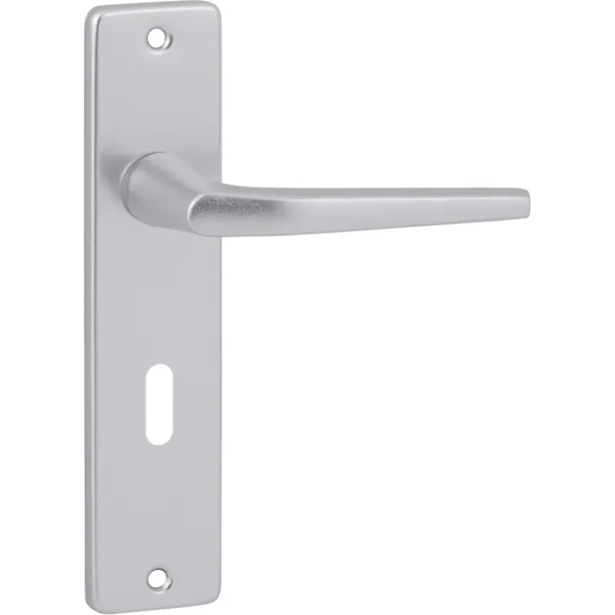 Karwei deurkruk set Daan recht schild sleutelgat 56 mm aluminium