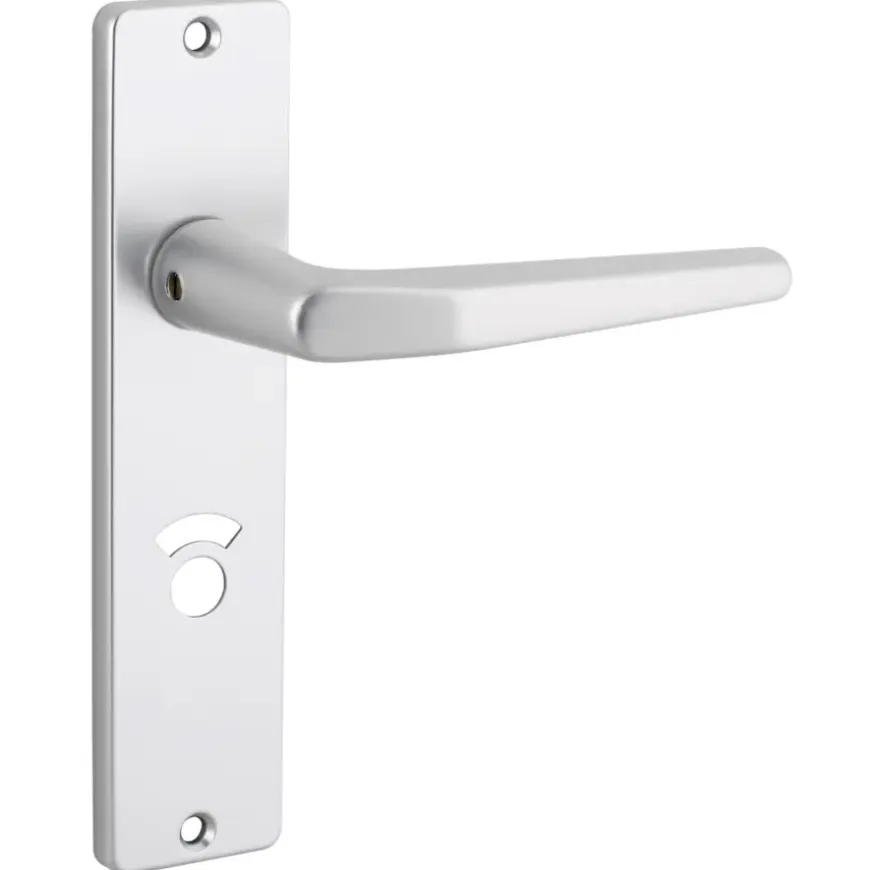 KARWEI insteekslot badkamerslot/wc-slot compleet met deurschild Doorn 50mm PC 63mm