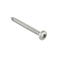 KARWEI unischroef cilinderkop rvs 4x30 mm (10 stuks)