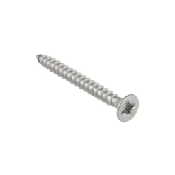 KARWEI unischroef platkop rvs 5x50 mm (15 stuks)