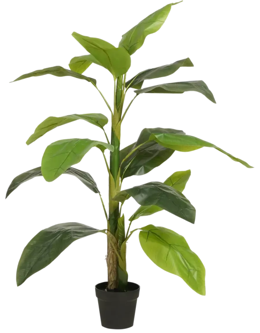 Geen Kunstplant Strelitzia in pot groen - h150xd40cm