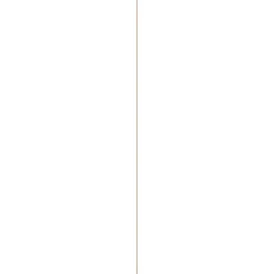 Kwartrond grenen wit gelakt 11x11mm 270cm