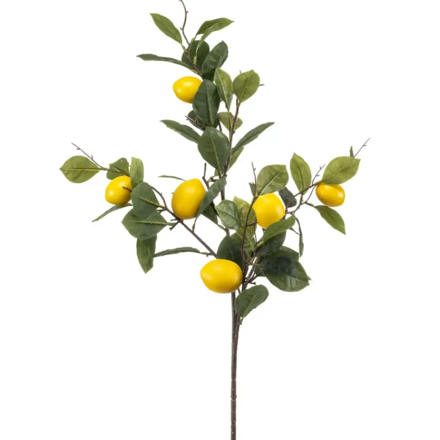 Emerald Lemon fruit spray 95cm