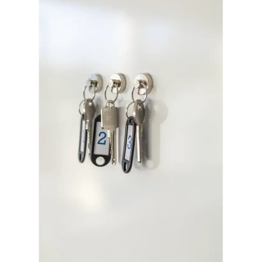 Fix-o-moll Magneet sleutelhanger Neodymium zilver 20mm 2 stuks