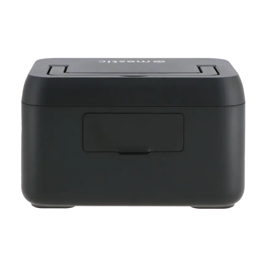 Mestic power station MPS-300