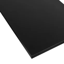 Meubelpaneel zwart ABS 80x40 cm 18 mm