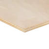 Multiplex plaat hardhout voor binnen 122 x 61 cm 12 mm