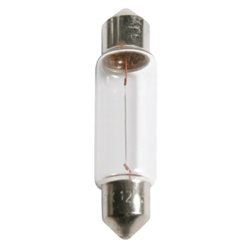Philips autolampen C10W Vision SV8,5 2 stuks