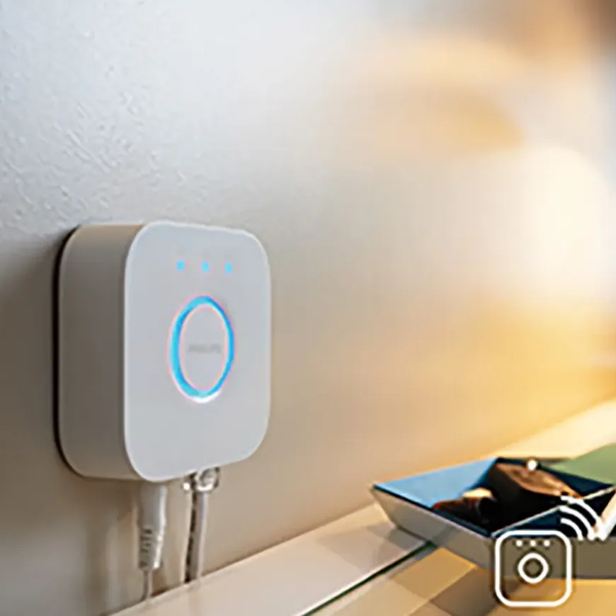 Philips Hue losse bridge