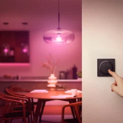 Philips Hue Tap dial switch draaischakelaar zwart