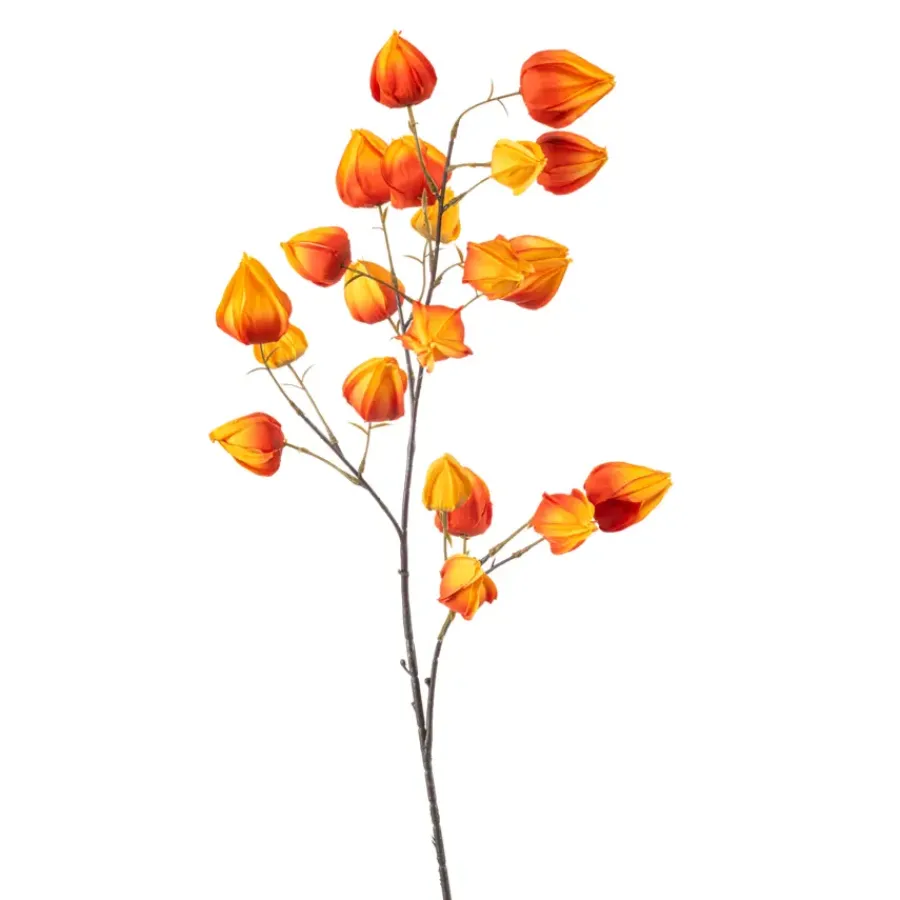 Emerald Physalis spray oranje 90cm