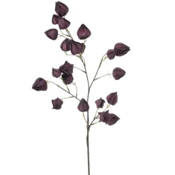 Emerald Physalis spray paars 90cm