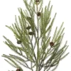 Emerald Pine branch met cones