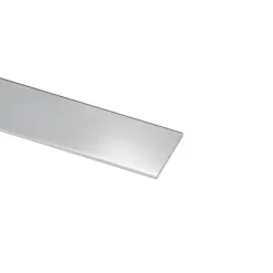 Geen Plat profiel RVS 15x0.5x1000 mm