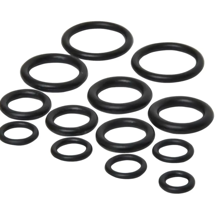 Sanivesk O-Ringen Assortiment 12 stuks