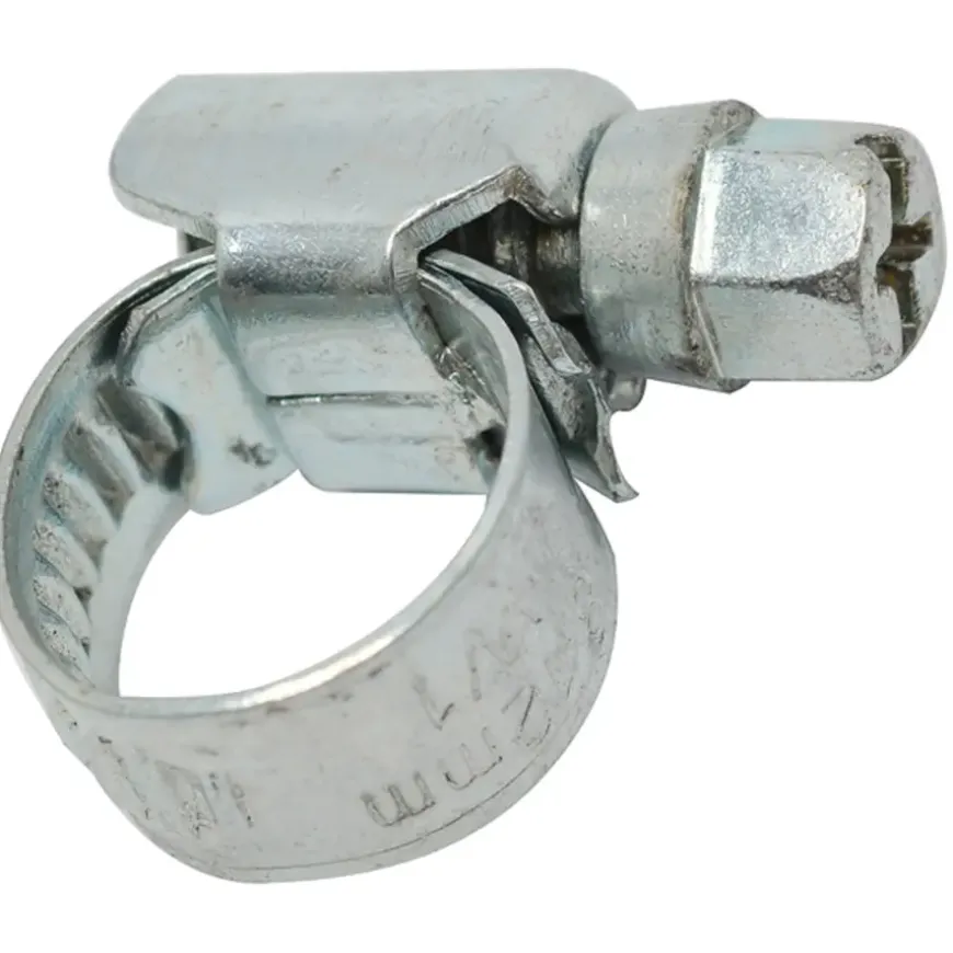 Sanivesk Slangklem 40-60mm RVS