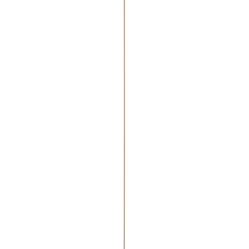 Schilderijlijst grenen 9x21 mm lengte 270 cm