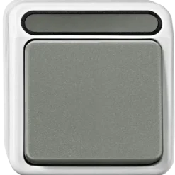 Schneider Electric Aquastar spatwaterdicht wissel/1-polig