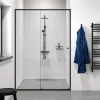 Sealskin Schuifdeur voor nis Contour Zwart 120x200cm