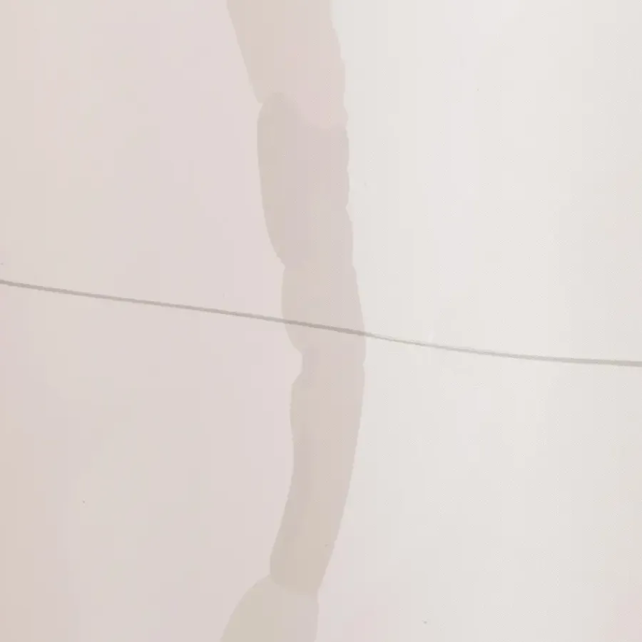Sealskin douchegordijn earth 180x200cm donker groen /wit