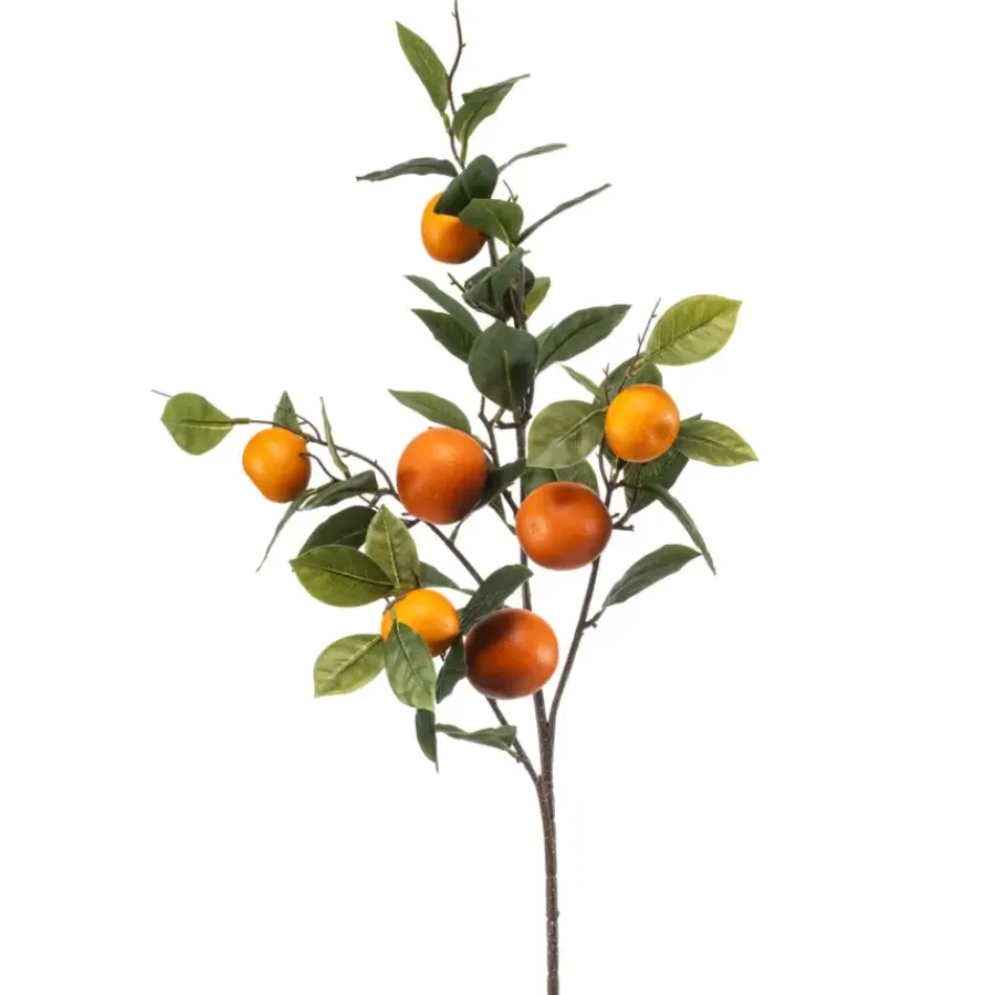 Emerald Sinaasappel fruit spray 80cm
