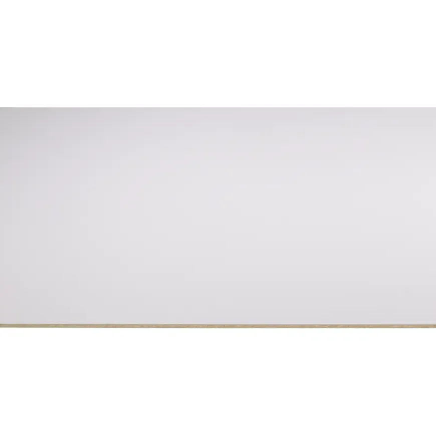 Storemax deurplaat frigo wit 255 x 101,5 cm 8 mm