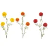 Emerald Tagetes spray mix 80cm