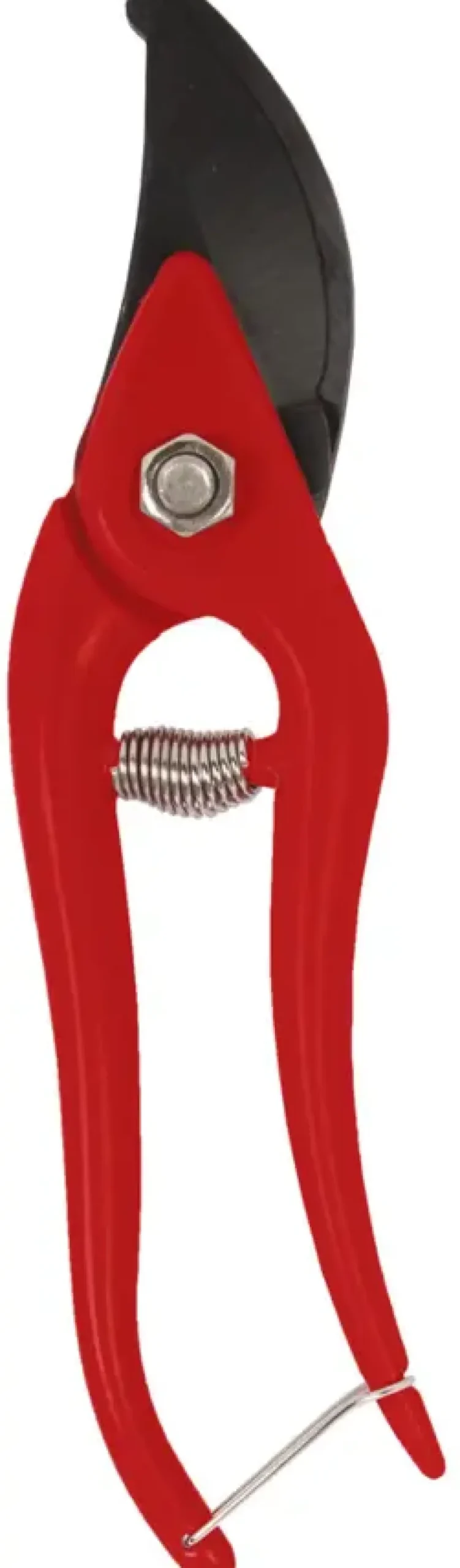Talen Tools snoeischaar budget